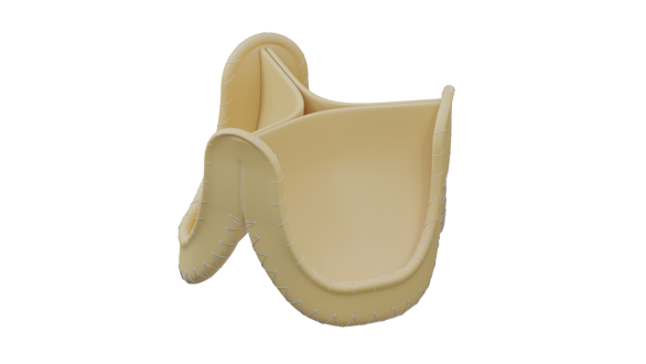 <span style="font-size:18pt;"><strong>TiAra</strong>  - Biological Aortic Heart Valve Prosthesis</span>